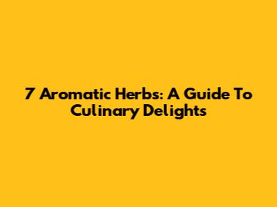 7 Aromatic Herbs: A Guide To Culinary Delights