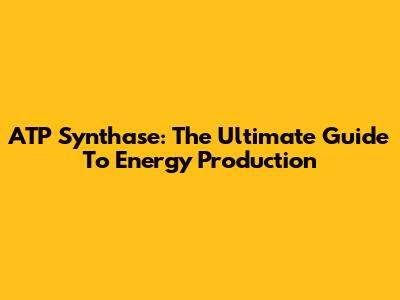 ATP Synthase: The Ultimate Guide To Energy Production