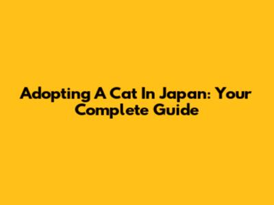 Adopting A Cat In Japan: Your Complete Guide