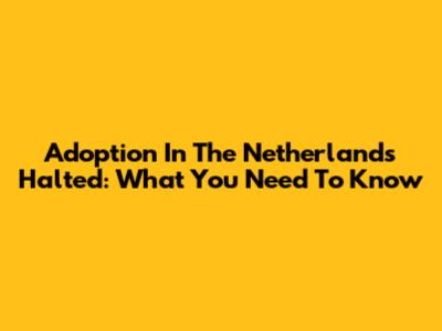 Adoption In The Netherlands Halted: What You Need To Know