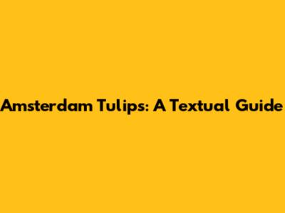 Amsterdam Tulips: A Textual Guide