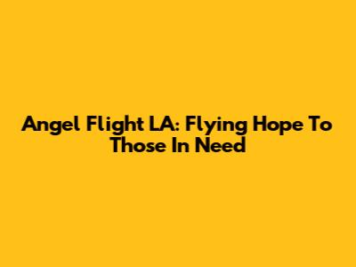 Angel Flight LA: Flying Hope To Those In Need