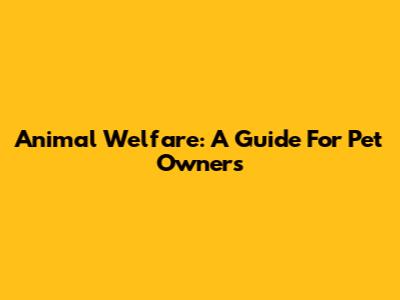 Animal Welfare: A Guide For Pet Owners