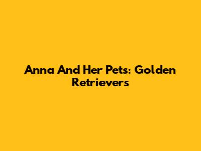 Anna And Her Pets: Golden Retrievers