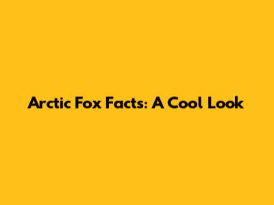 Arctic Fox Facts: A Cool Look