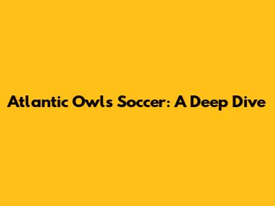 Atlantic Owls Soccer: A Deep Dive