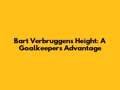 Bart Verbruggen's Height: A Goalkeeper's Advantage