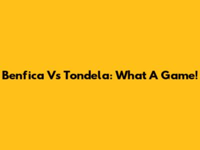 Benfica Vs Tondela: What A Game!