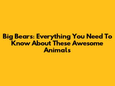 Big Bears: Everything You Need To Know About These Awesome Animals