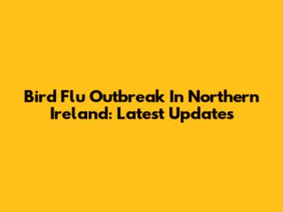 Bird Flu Outbreak In Northern Ireland: Latest Updates