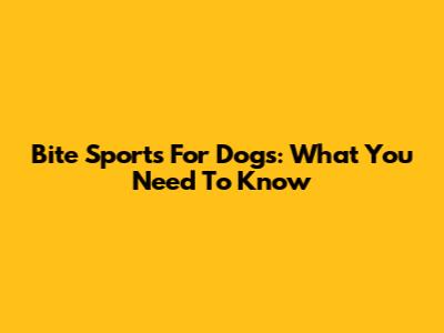 Bite Sports For Dogs: What You Need To Know