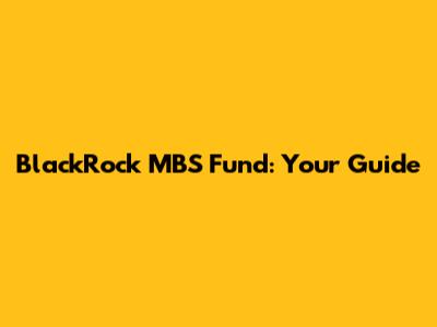 BlackRock MBS Fund: Your Guide