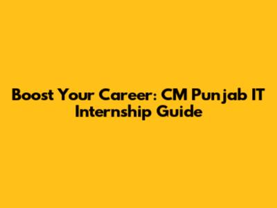 Boost Your Career: CM Punjab IT Internship Guide