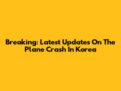 Breaking: Latest Updates On The Plane Crash In Korea