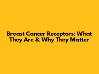 Breast Cancer Receptors: What They Are & Why They Matter