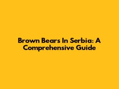 Brown Bears In Serbia: A Comprehensive Guide
