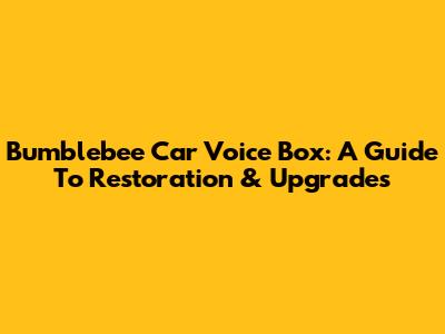 Bumblebee Car Voice Box: A Guide To Restoration & Upgrades