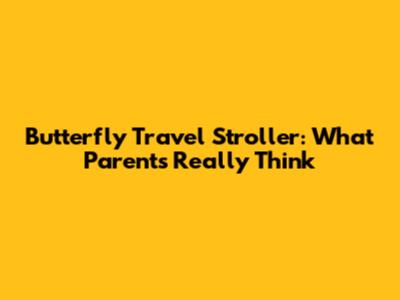 Butterfly Travel Stroller: What Parents Really Think