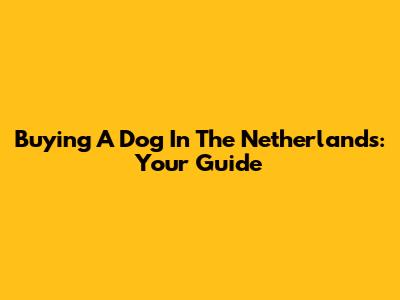 Buying A Dog In The Netherlands: Your Guide