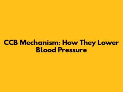 CCB Mechanism: How They Lower Blood Pressure