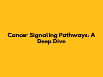 Cancer Signaling Pathways: A Deep Dive