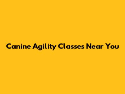 Canine Agility Classes Near You