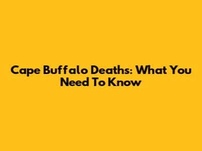 Cape Buffalo Deaths: What You Need To Know