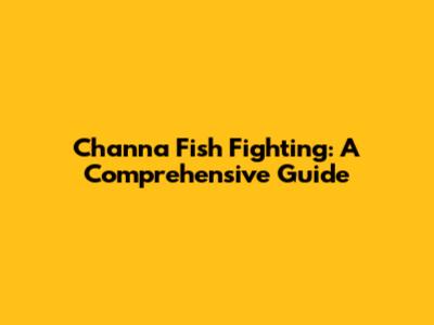 Channa Fish Fighting: A Comprehensive Guide