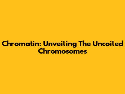 Chromatin: Unveiling The Uncoiled Chromosomes