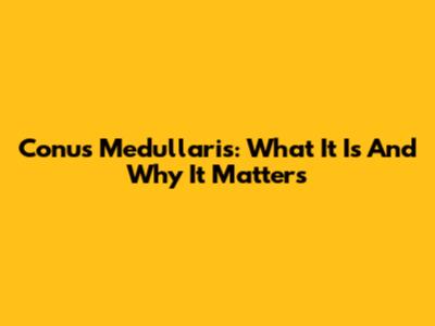Conus Medullaris: What It Is And Why It Matters