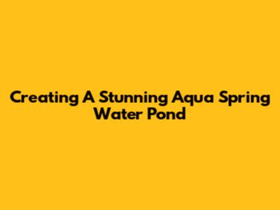 Creating A Stunning Aqua Spring Water Pond