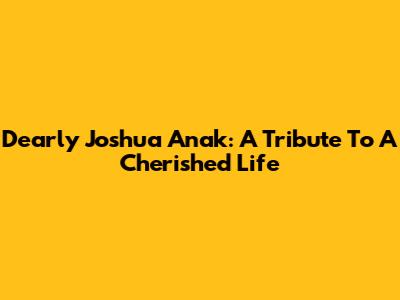 Dearly Joshua Anak: A Tribute To A Cherished Life