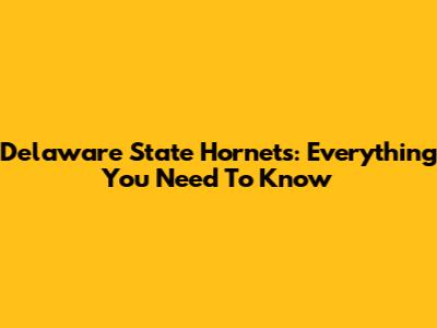 Delaware State Hornets: Everything You Need To Know