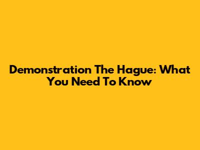 Demonstration The Hague: What You Need To Know