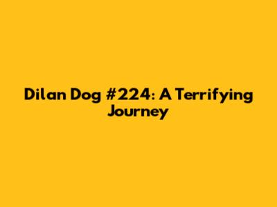 Dilan Dog #224: A Terrifying Journey