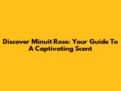 Discover Minuit Rose: Your Guide To A Captivating Scent