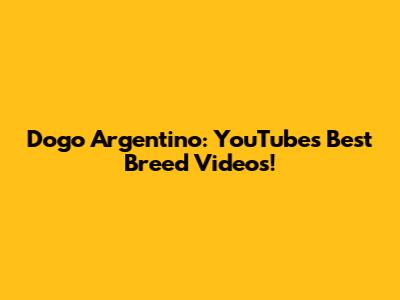 Dogo Argentino: YouTube's Best Breed Videos!