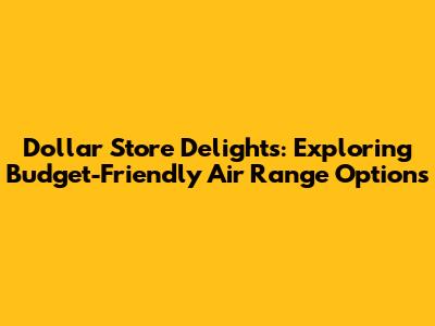 Dollar Store Delights: Exploring Budget-Friendly Air Range Options