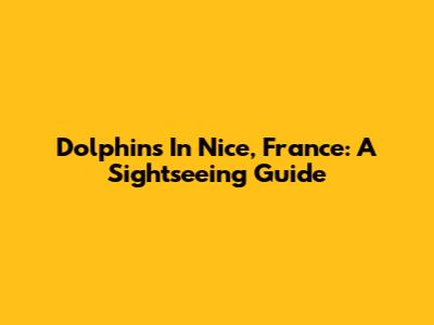 Dolphins In Nice, France: A Sightseeing Guide