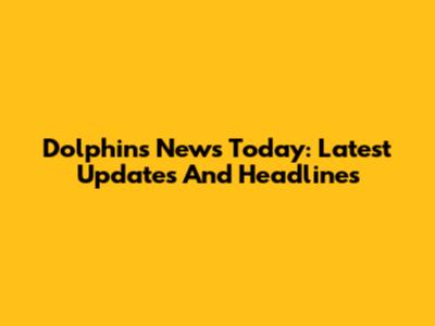 Dolphins News Today: Latest Updates And Headlines