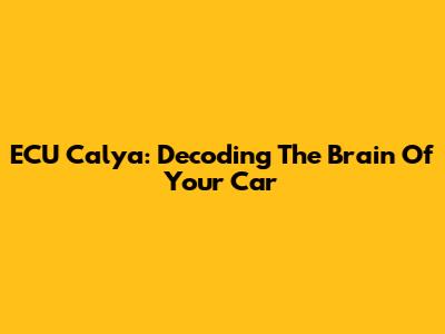 ECU Calya: Decoding The Brain Of Your Car