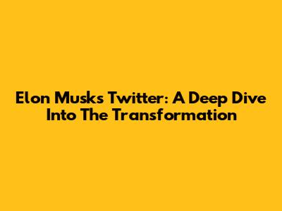 Elon Musk's Twitter: A Deep Dive Into The Transformation