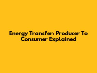 Energy Transfer: Producer To Consumer Explained