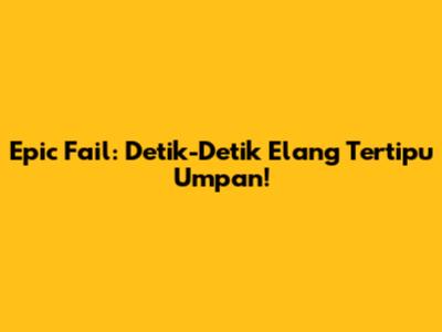 Epic Fail: Detik-Detik Elang Tertipu Umpan!