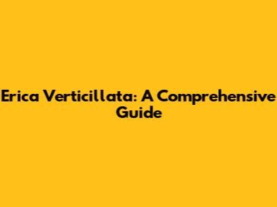 Erica Verticillata: A Comprehensive Guide