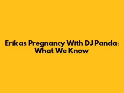 Erika's Pregnancy With DJ Panda: What We Know