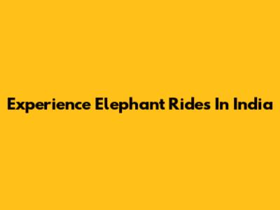 Experience Elephant Rides In India