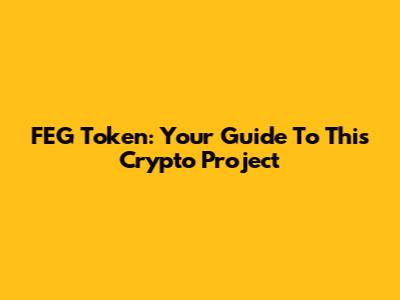 FEG Token: Your Guide To This Crypto Project