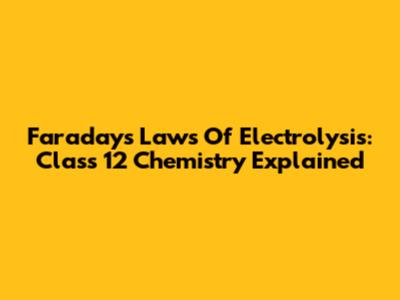 Faraday's Laws Of Electrolysis: Class 12 Chemistry Explained