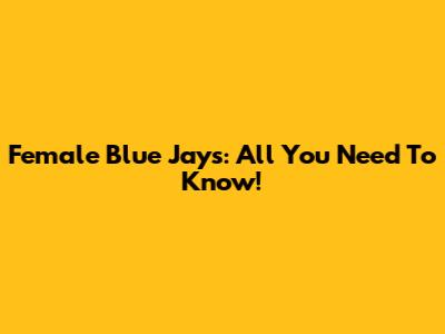 Female Blue Jays: All You Need To Know!